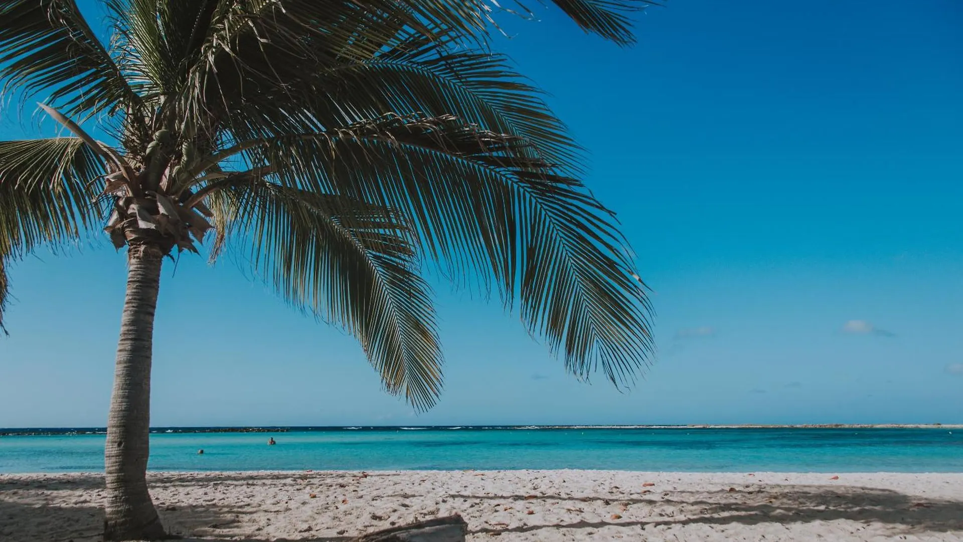 Unforgettable Where Excellence Convenience Meet Oranjestad Apartment