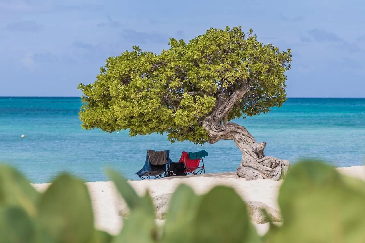 Unforgettable Where Excellence Convenience Meet Oranjestad 0*,  Aruba