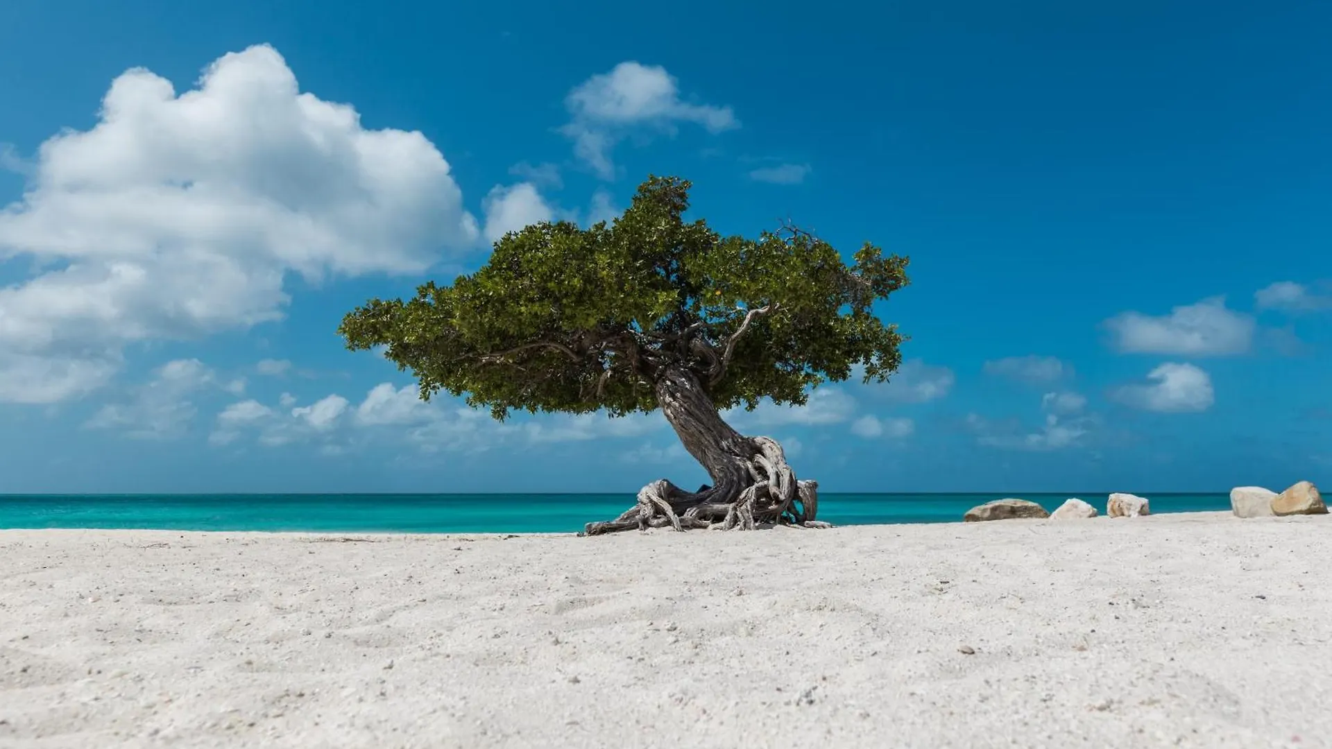 Unforgettable Where Excellence Convenience Meet Oranjestad